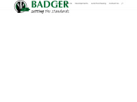 badgerbuilding.co.uk Thumbnail