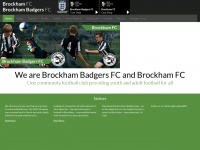 brockhambadgersfc.co.uk Thumbnail