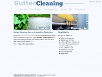 3countiesguttercleaning.co.uk