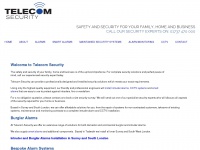telecomsecurityltd.co.uk Thumbnail