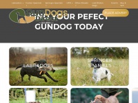 Gundogsdirect.co.uk