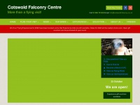 Cotswold-falconry.co.uk
