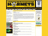 balsallhornets.co.uk