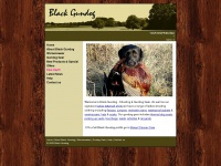 blackgundog.com