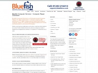 Bluefishcs.co.uk
