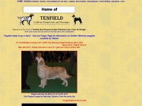 tenfield.co.uk Thumbnail
