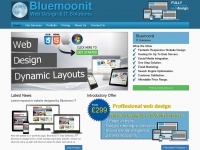 bluemoonit.co.uk