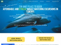 whalesanddolphinsoftenerife.org Thumbnail