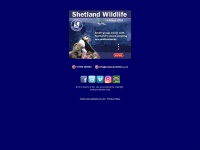 shetlandwildlife.co.uk