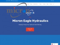 microneagle.com