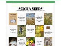 Scotiaseeds.co.uk