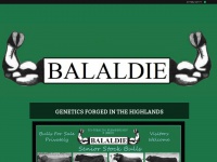 Balaldie.com