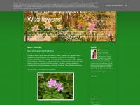 Theorkneybookofwildflowers.blogspot.com