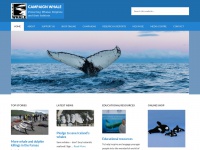 campaign-whale.org Thumbnail