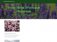 wholesaleplants.co.uk