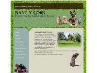 nantycorn.com Thumbnail