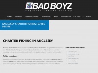 Angleseycharterfishing.co.uk