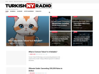 Turkishnyradio.com