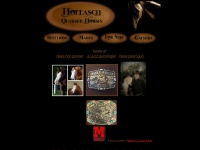 hollaschquarterhorses.com Thumbnail