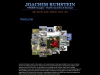 joachim-ruhstein-wildlife-images.ca Thumbnail
