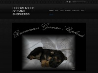 broomeacresgermanshepherds.com