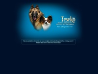 teseko.com Thumbnail