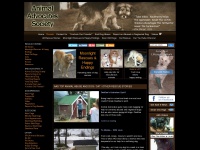 animaladvocates.com Thumbnail