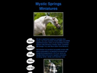 mysticspringsminis.com Thumbnail