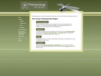 thinkerbug.com Thumbnail