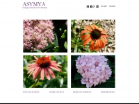 Asymya.com