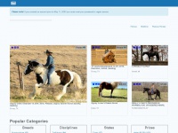 equine.com