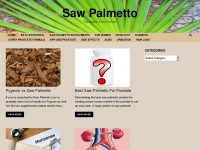 sawpalmetto.org