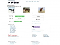 dreamhorse.com Thumbnail