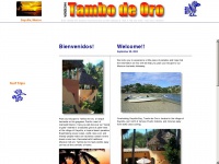 tambo-de-oro.com Thumbnail