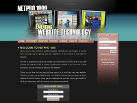 netpro1000.com