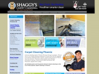 shaggyscarpetcleaning.com