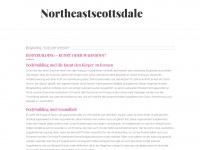 northeastscottsdale.com Thumbnail