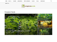 evergreenseeds.com Thumbnail