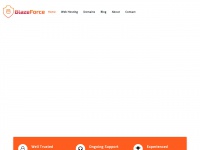 blazeforce.com