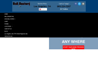 bailbusters.com