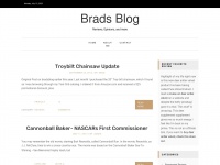 Bradsblog.net