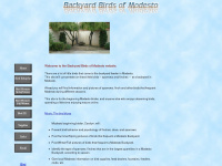 backyardbirdsofmodesto.com Thumbnail