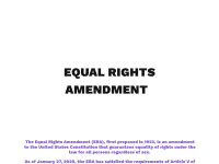 equalrightsamendment.org Thumbnail