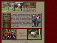 cnrquarterhorses.com