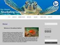 snorkelingcatalina.com Thumbnail