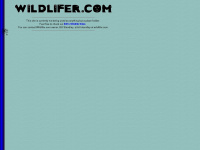 wildlifer.com Thumbnail