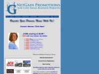 Netgainpromotions.com