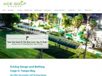 ace-golf.com