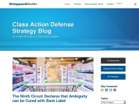 classactiondefensestrategy.com Thumbnail