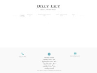 dillylily.com